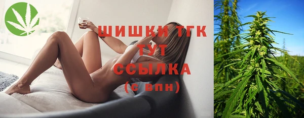 2c-b Бородино