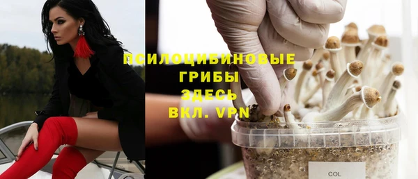 2c-b Бородино
