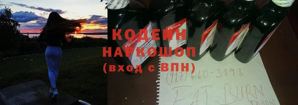 2c-b Бородино