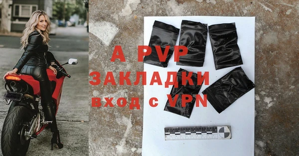 2c-b Бородино