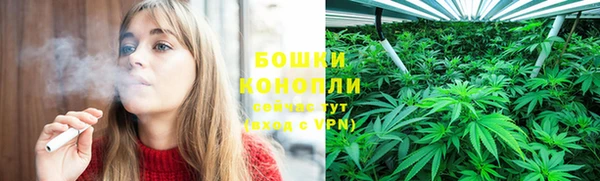 2c-b Бородино