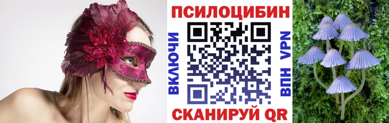 Псилоцибиновые грибы ЛСД  гидра ссылка  Юрга 